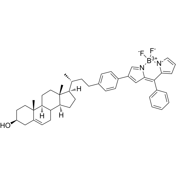 BODIPY-cholesterol conjugate-1 1638745-25-1